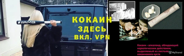 твердый Аркадак