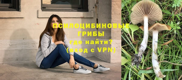 твердый Аркадак