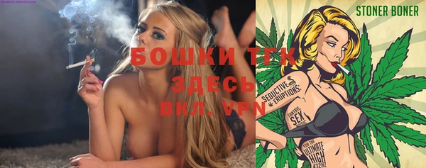 твердый Аркадак