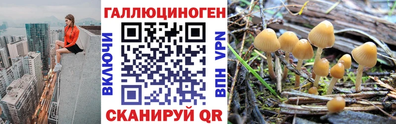 ОМГ ОМГ сайт  Сарапул  Галлюциногенные грибы Cubensis 